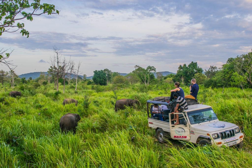 Sundari Eco Village Habarana Exterior foto